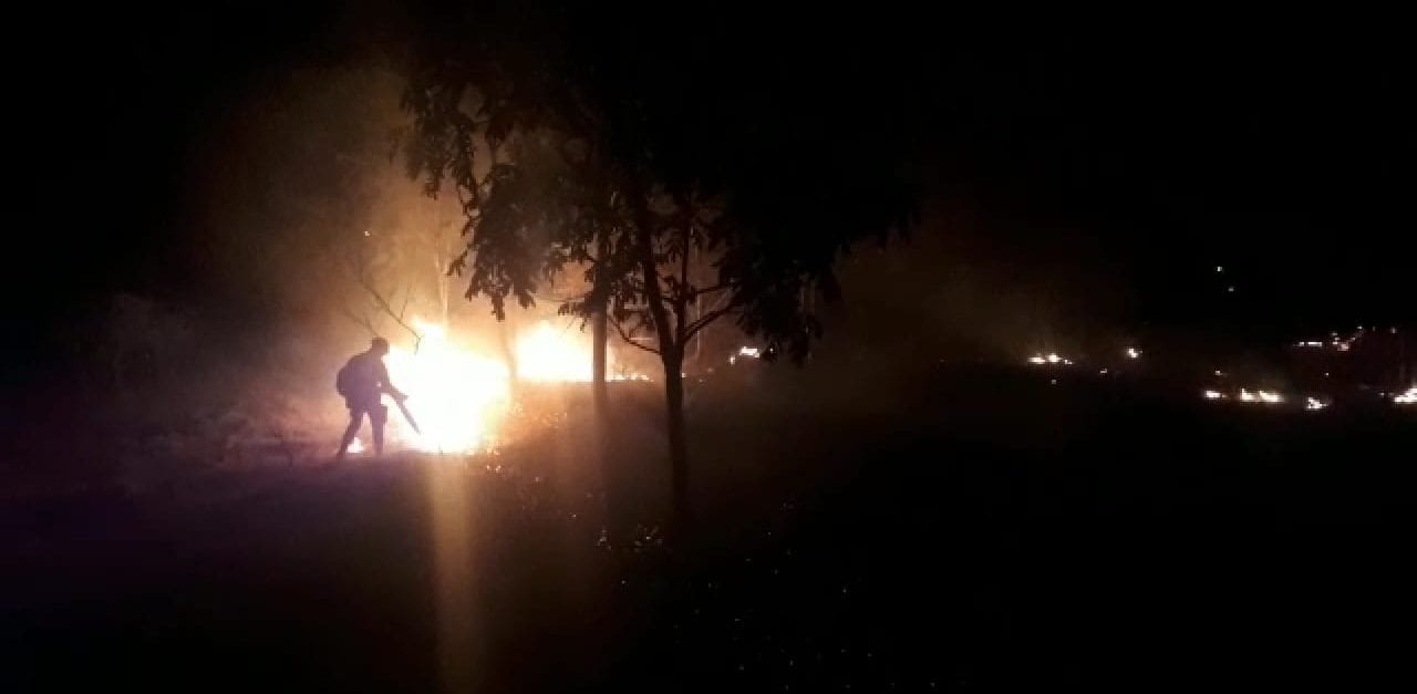 Curto-circuito em rede elétrica provoca incêndio em pasto, em Aurilândia