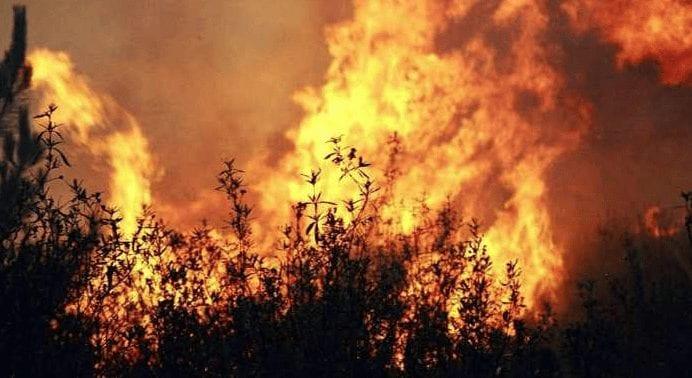 Em Goiás, número de incêndios florestais até agosto já supera todo o ano de 2018