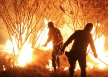 Governo anuncia ações de contenção de incêndios em Goiás