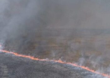 Incêndio destrói ao menos 6 mil hectares do Parque Nacional das Emas