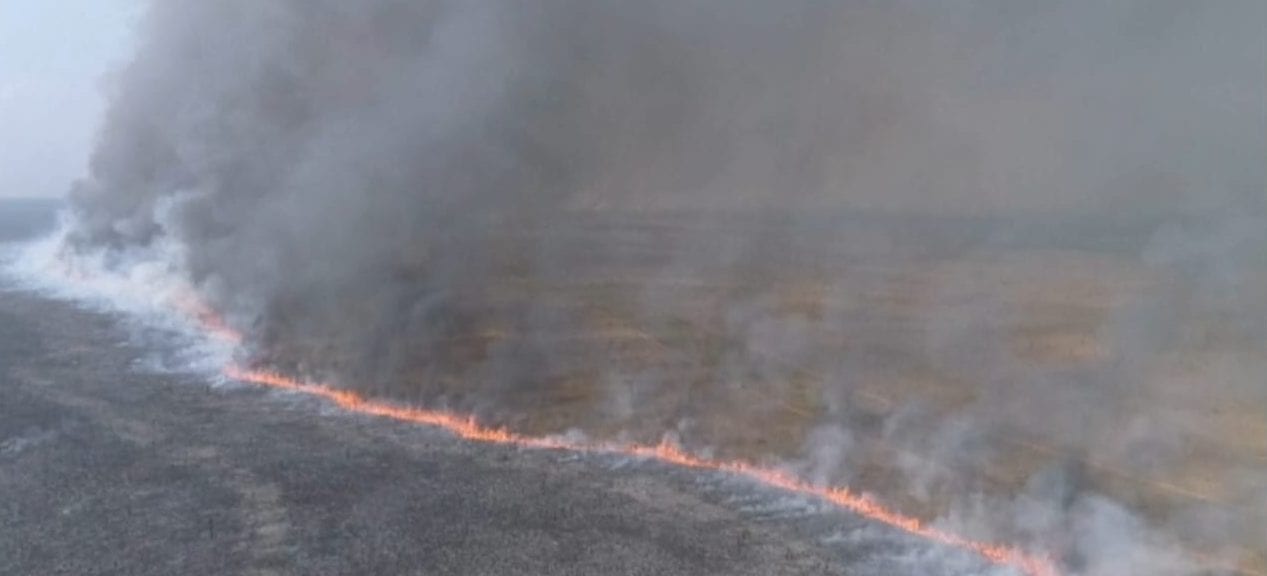 Incêndio destrói ao menos 6 mil hectares do Parque Nacional das Emas