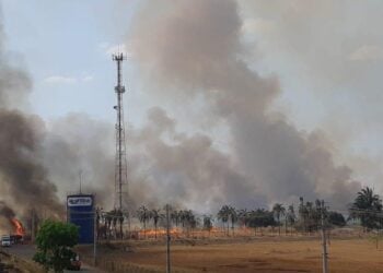 Incêndio interdita BR-153 em Itumbiara
