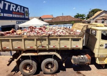 Mais de 12 toneladas de carne imprópria para consumo são apreendidas, em Formosa