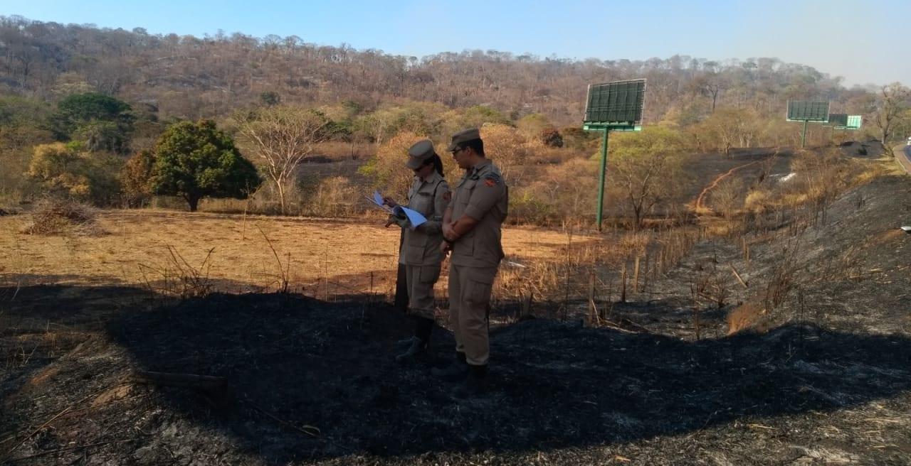 Perícia deve apontar causas e possível autor de incêndio no Parque Ecológico de Goiânia