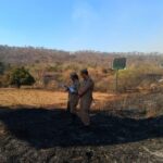 Perícia deve apontar causas e possível autor de incêndios em parques de Goiânia