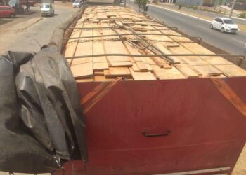 PM apreende carga de madeira comercializada ilegalmente