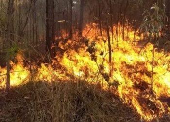 PM salva idosos que ficaram ilhados durante incêndio na zona rural de Santa Helena de Goiás