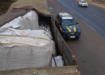 PRF e Decar recuperam 32 toneladas de soja roubadas, em Rio Verde