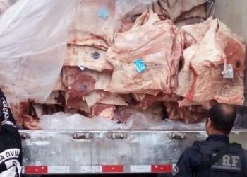 Polícia recupera 30 toneladas de carne roubada, em Guapó