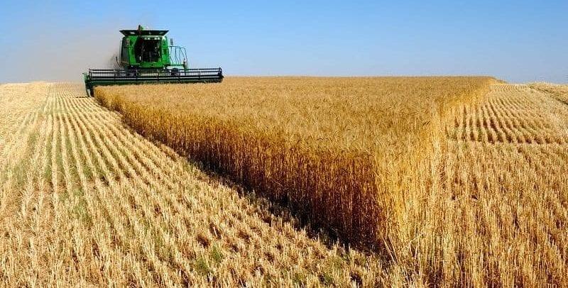 Safra de grãos deve crescer 6,3% e fechar com recorde em 2019