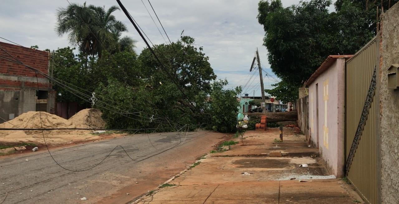 Alerta de tempestades em Goiás segue até esta quarta-feira (6)