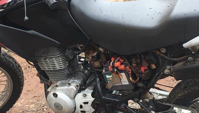 Bombeiros resgatam cobra em carenagem de moto, em Jaraguá