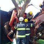 Motorista sobrevive preso às ferragens após bater em árvore, em Goiânia