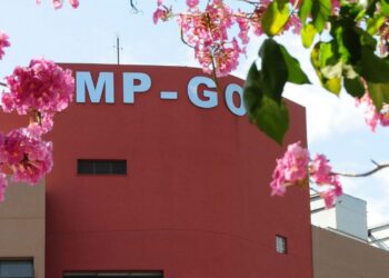 MP-GO deflagra ação contra quadrilha especializada em fraudes em falências