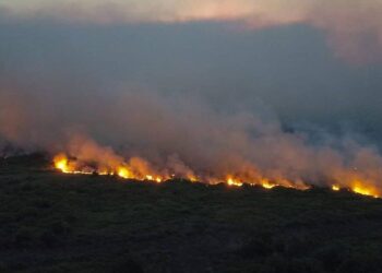 Pantanal tem maior número de incêndios para outubro em 17 anos