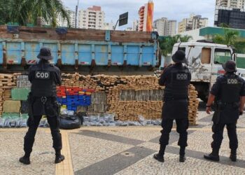 PM apreende caminhão com 2 toneladas de maconha, em Acreúna