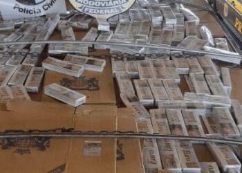 Polícia apreende carga de cigarros do Paraguai avaliada em R$ 2 milhões, em Goiás