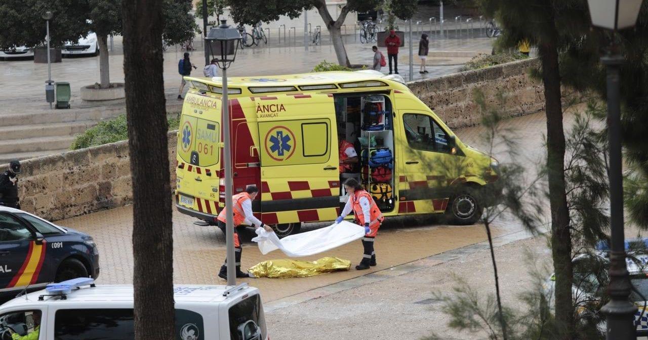 Turista de Anápolis morre na Espanha após palmeira cair sobre ela