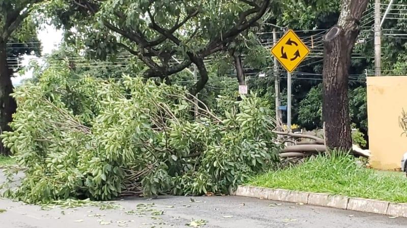 Após registros de fortes chuvas, Goiás continua sob alerta de temporais