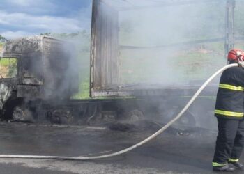 Caminhão pega fogo na BR-060, entre Anápolis e Alexânia