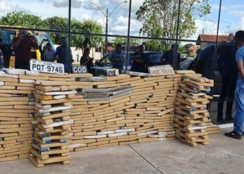 PM prende quadrilha com 600 quilos de maconha, em Cezarina