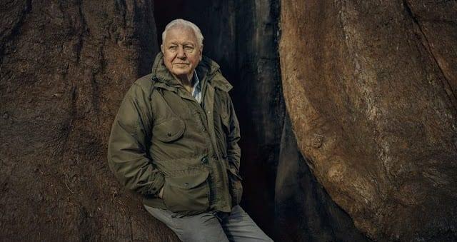 Sir David Attenborough apresentará a série inédita The Green Planet