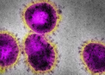 Anvisa amplia grupo de emergência para monitorar ações contra coronavírus