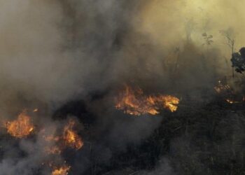 Aquecimento deve piorar incêndios na Amazônia e destruir 16% do sul da floresta