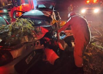 Carro cai em ladeira, bate em árvore e duas pessoas ficam feridas, em Goiânia