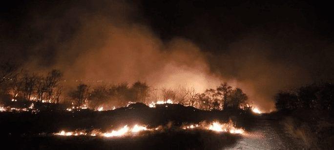 Goiás registra aumento de 3.500 casos de incêndios florestais em 2019 f