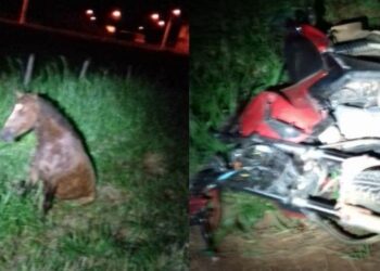 Motociclista morre após atropelar cavalo solto na pista, em Itaberaí