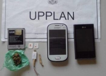 Mulher é flagrada com celulares, chips e drogas em partes íntimas em UP de Planaltina