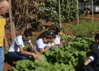 Projeto Horta Escolar, de Goiânia, distribuiu 120 mil mudas em 2019