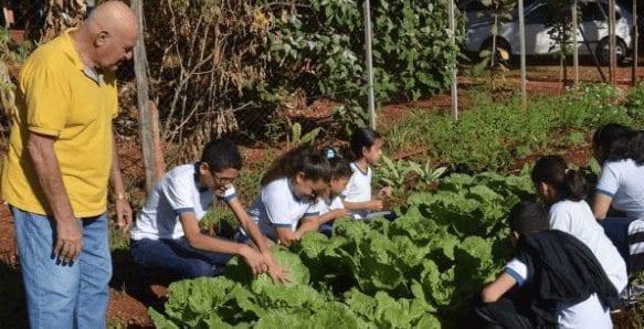 Projeto Horta Escolar, de Goiânia, distribuiu 120 mil mudas em 2019