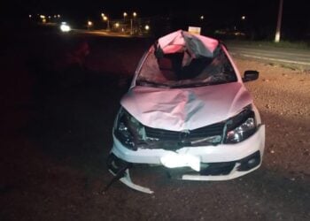 Burro morre ao ser atropelado em acidente na Cidade de Goiás