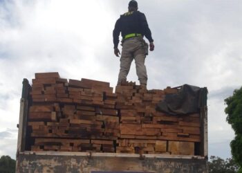 PRF apreende carreta com madeira ilegal na BR-364, em Jataí