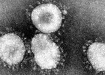 Coronavírus: o que pode e o que não pode durante um isolamento domiciliar