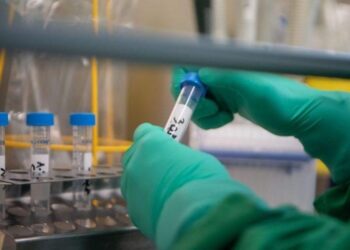 'Estamos cada vez mais perto de vacina e tratamento para o coronavírus', diz OMS