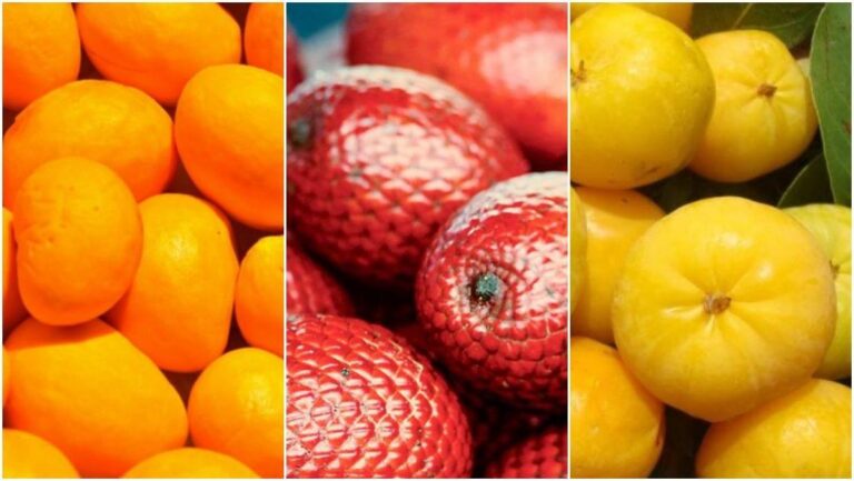 Frutas Do Cerrado Que Você Precisa Conhecer E Experimentar Dia Online 6395