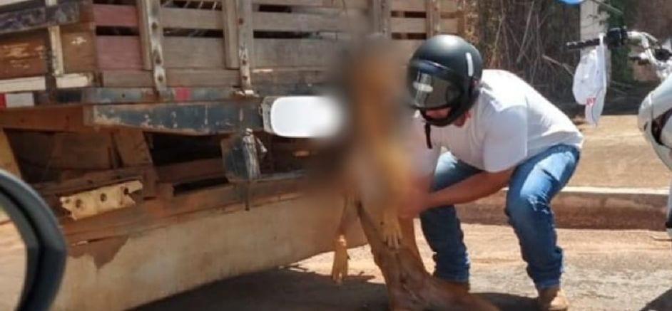 Homem é detido após arrastar cachorro amarrado em veículo, em Pontalina