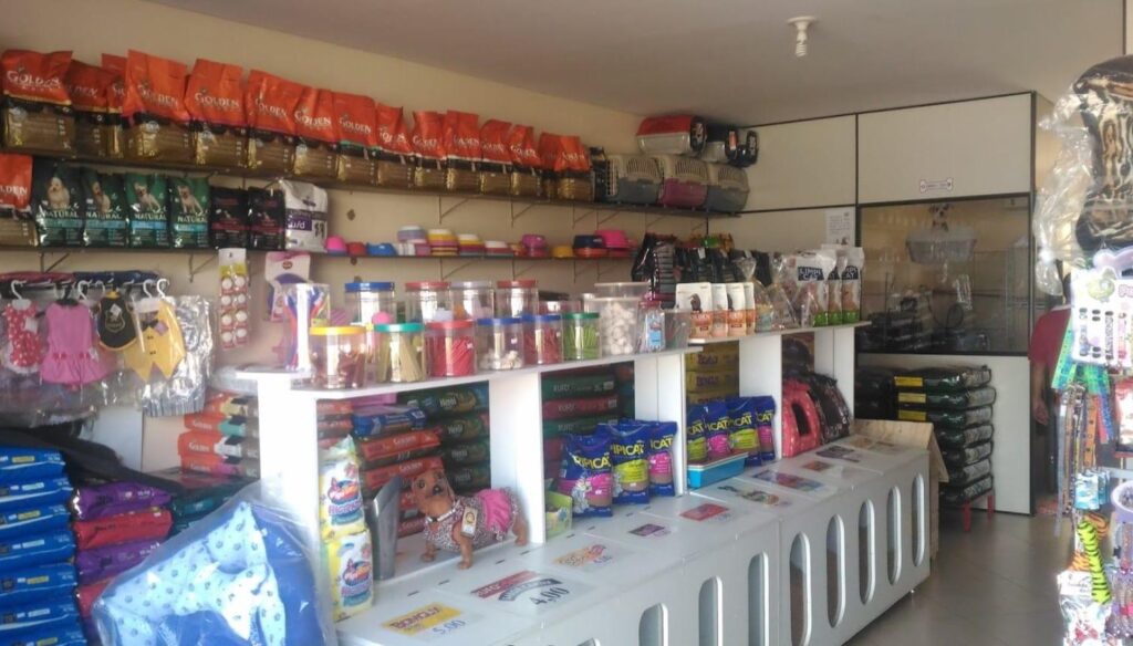 Pet shop em Rio Verde opções para cuidar do seu bichinho Dia Online