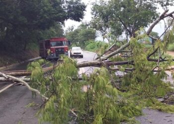 Tempo em Goiás: Imnet alerta para tempestades neste fim de semana