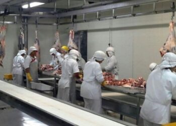 Crise do coronavírus reduz consumo de carne e já paralisa 11 frigoríficos no País