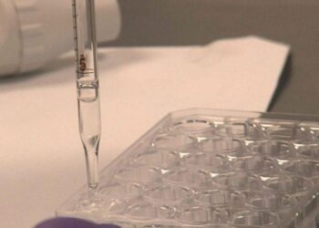 Israel pretende iniciar testes em humanos de vacina oral em 1º de junho
