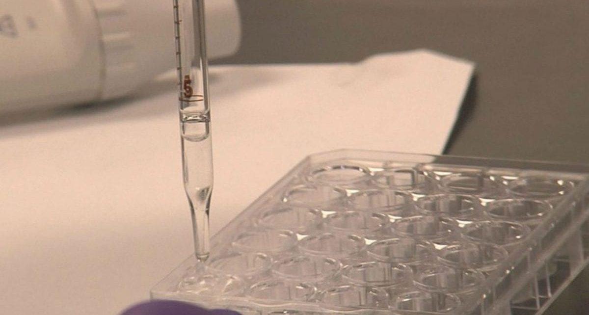 Israel pretende iniciar testes em humanos de vacina oral em 1º de junho