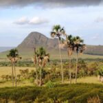 Jardim de Maytrea Chapada dos Veadeiros