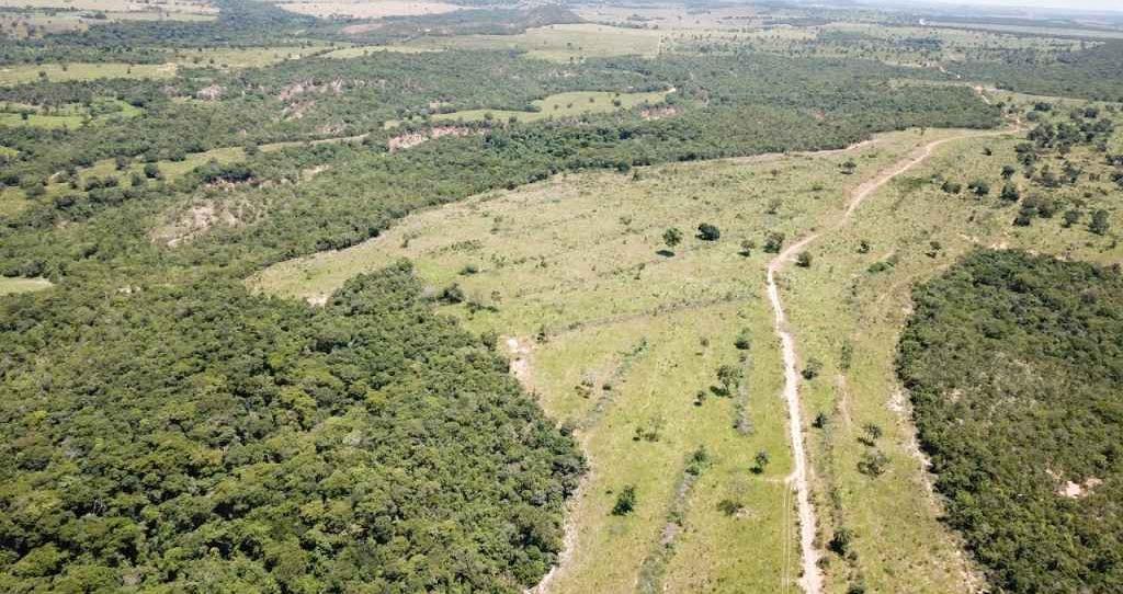 Justiça Federal cobra resposta do governo sobre volume recorde de desmatamento