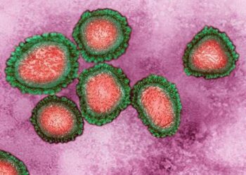 Mortes por coronavírus no mundo ultrapassam os 100 mil