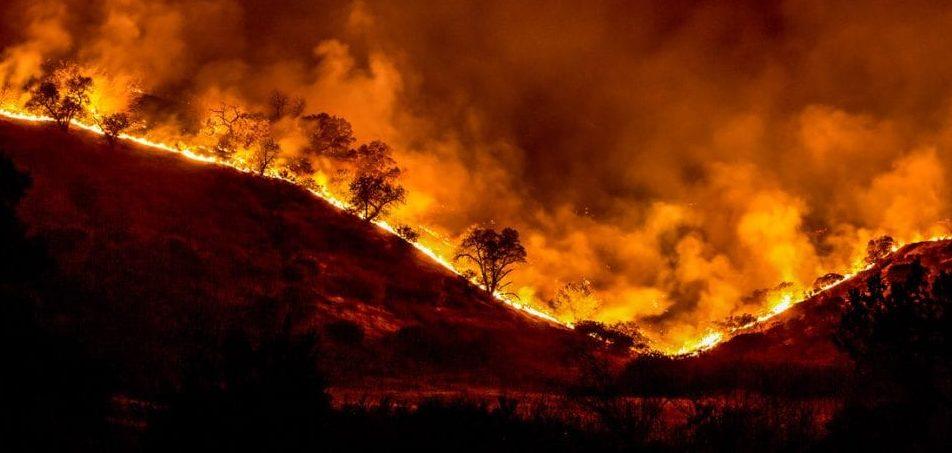 Número de incêndios florestais cai em Goiás em relação a