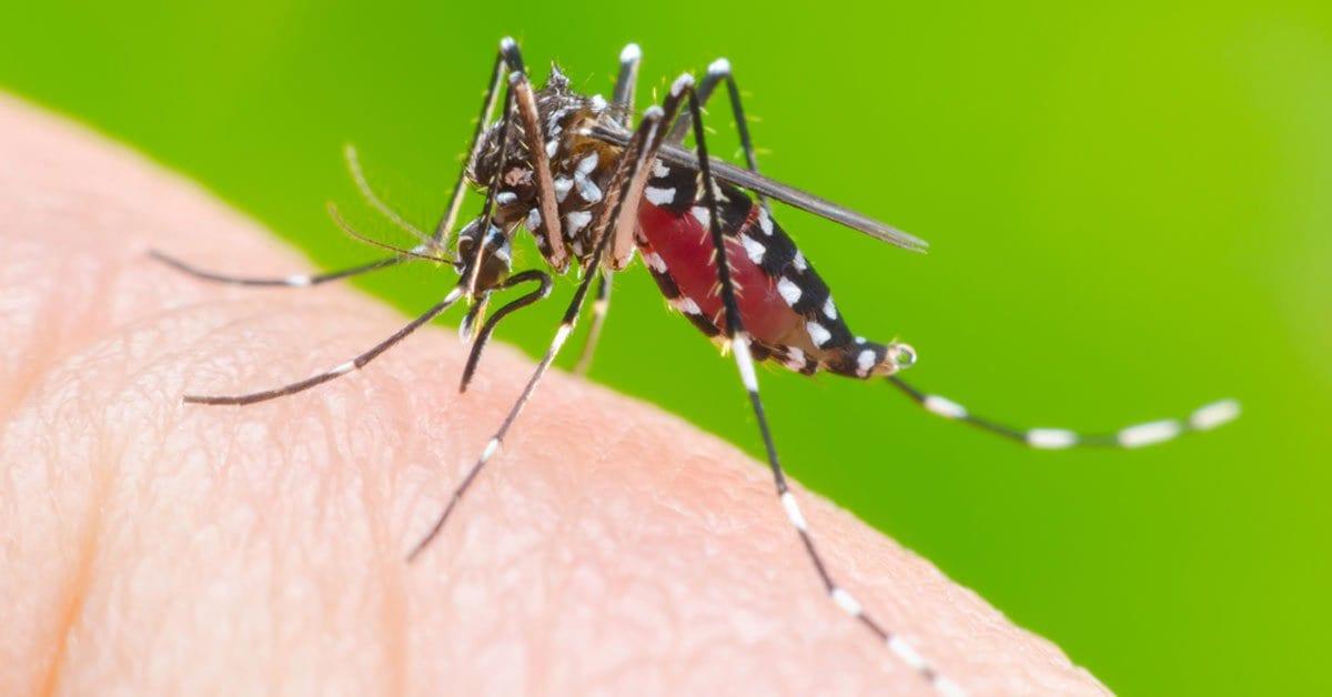 Prefeitura de Goiânia abre imóveis fechados no combate à dengue